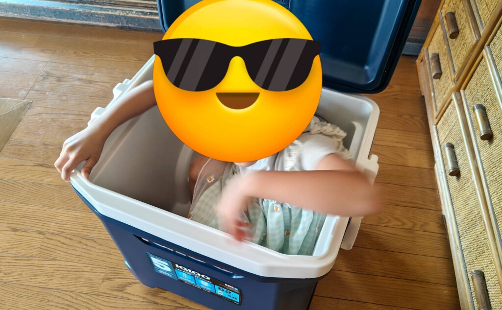 子どもが入れる大きさ